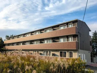 ボヌールYの画像