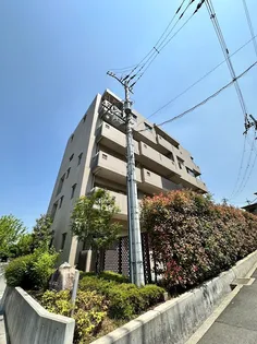 レジデンスアコルドの画像