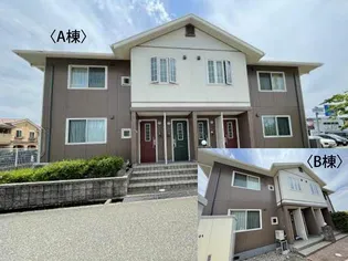 サンリッチ Bの画像