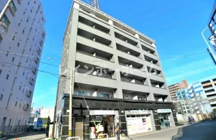 ゴールドクレストの画像