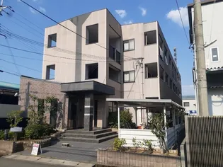 ティープラントの画像