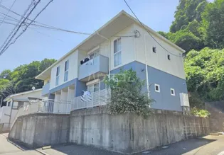 やまぼうしの画像