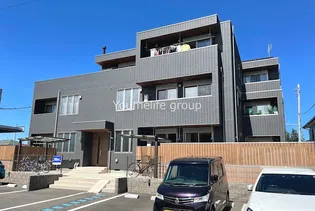ダンデライオンの画像