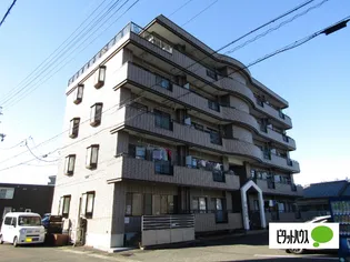 メゾンカトウIIの画像