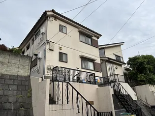 サンホワイトの画像