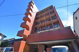 ハイライフセイコウの画像