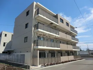 コントウィスタの画像