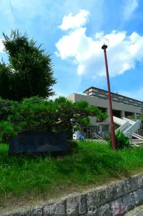 ジャルダン南【1階】の周辺