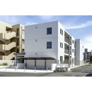 シンセーロの画像