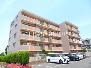 フォルティーヌ皿沼の画像