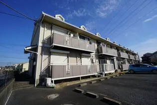 スカイバードの画像