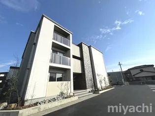 アミコートの画像