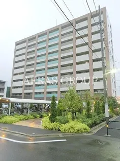 グローブ アマランスの画像