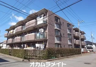 フォーレストの画像