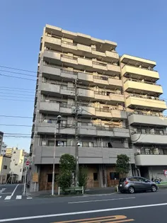 カームデイズA K Aの画像