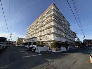 ゆとりろ根上り松の画像