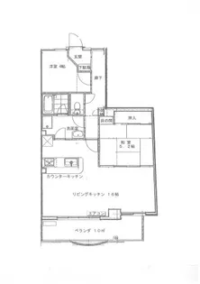 テラス細工町【3階】の間取り