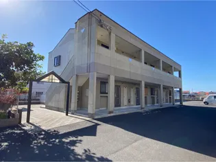 マロニエの画像