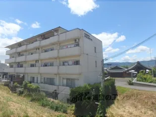 コーポポルスター【2階】の外観