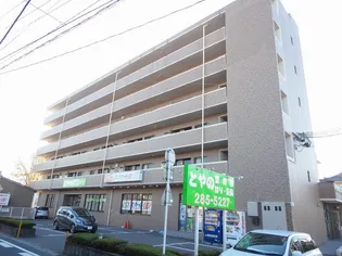 ベロウリベルタの画像