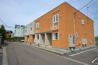 カミーノの画像