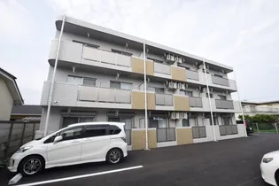 ルミライズの画像