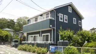 アニースの画像