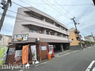 メディソン佐古の画像