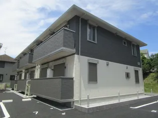 トップXIIIの画像