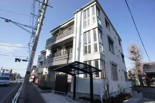 サンリット サルビアの画像