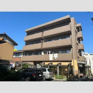 シャルム林の画像