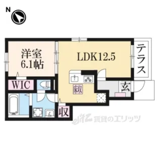 アストライア寄洲【1階】の間取り