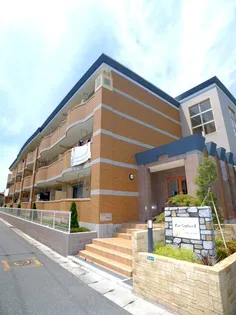 リズ センティア Aの画像