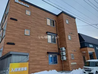MAHAROの画像