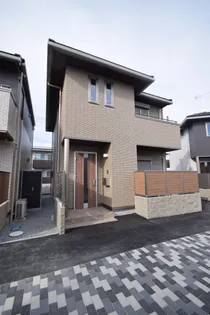 マーベルBの画像