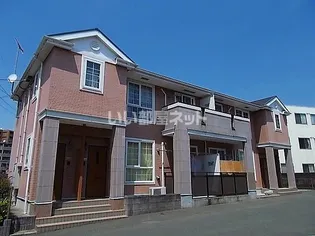 プラシードBの画像