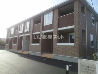 プリムローズの画像