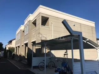アンジュの画像
