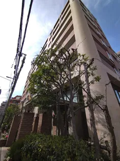 大阪府大阪市天王寺区上汐4【マンション】の外観