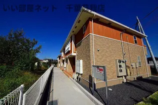 オリーブIIの画像