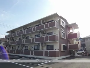 プラセールの画像