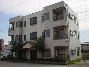 ハイツ白菊【3階】の外観