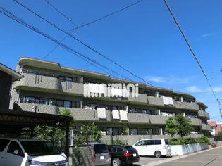 ブルッシュフィールドの画像