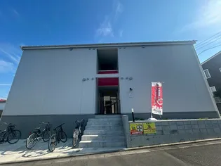 ブラウンナッツの画像