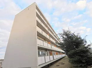 ビレッジハウス石鳥谷1号棟【3階】の外観