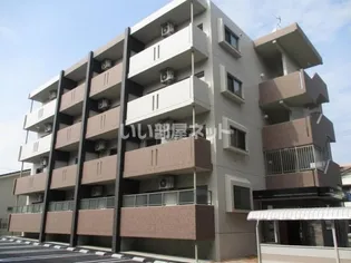 グレイスレジーナの画像