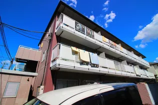 ソレイユ並木の画像