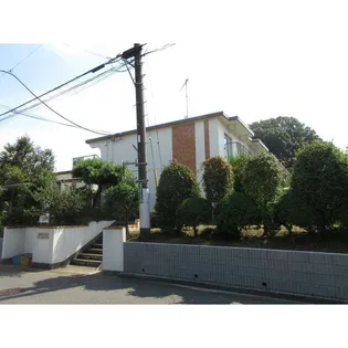 サンホワイトFの画像