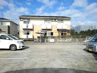 シャルマンの画像