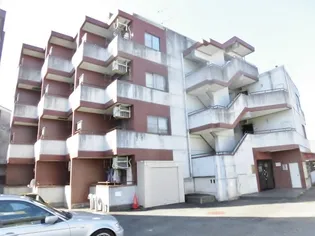 スターホームズ三ツ境Xの画像